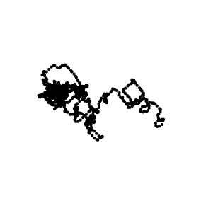 ant trail