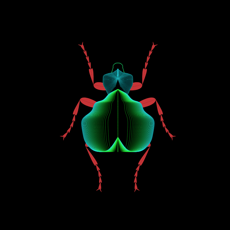 beetle